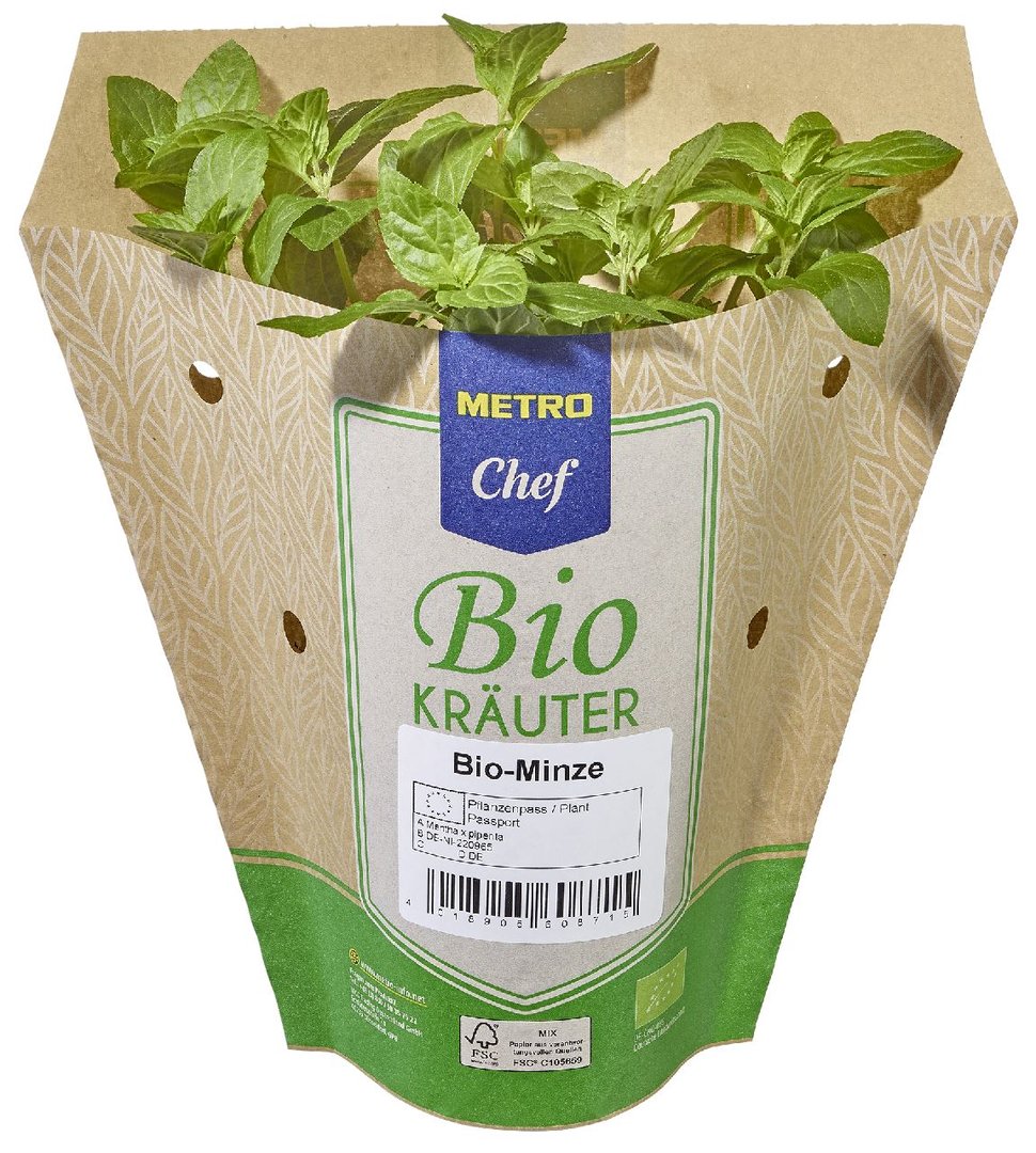 METRO Chef Bio - Minze Deutschland 13 cm Topf - 200 g Topf