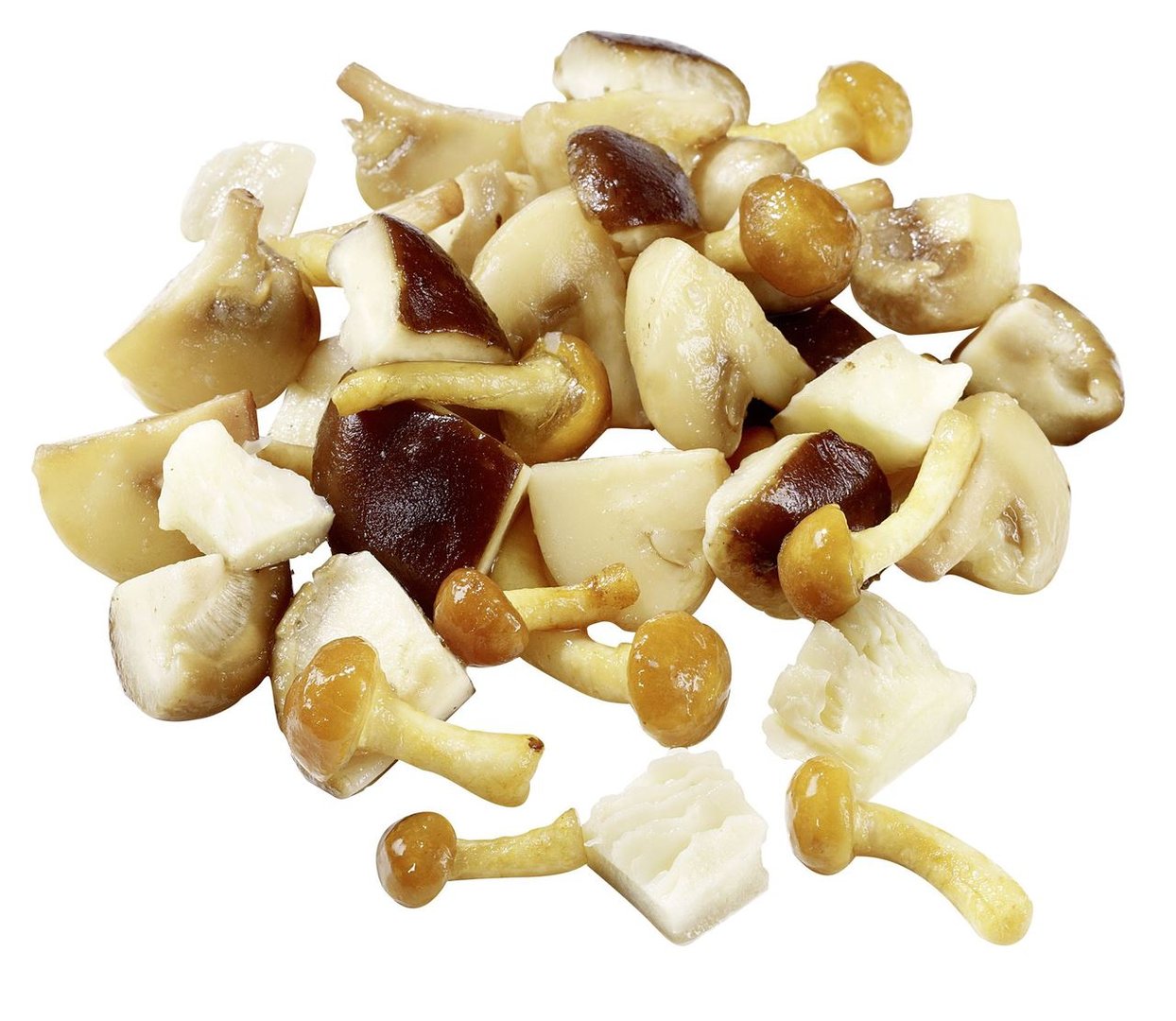 Golden Mushroom - Pilzmischung 3-fach sortiert tiefgefroren - 1 kg Packung
