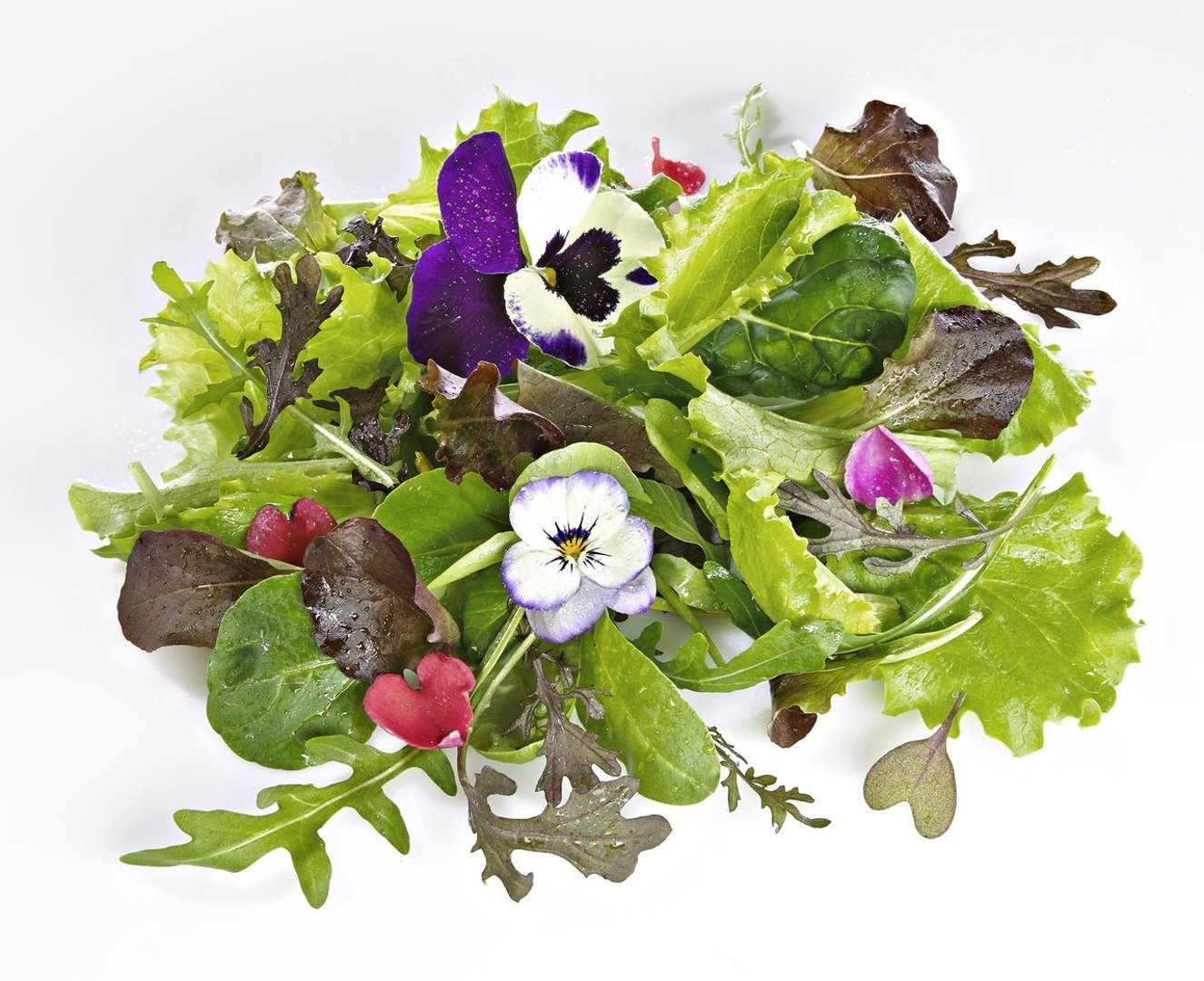 METRO Chef Bio - Salatmix mit Blüten Italien - 125 g Schachtel