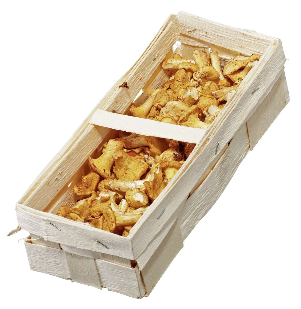 Pfifferlinge - Bulgarien - 6 x 400 g Kiste