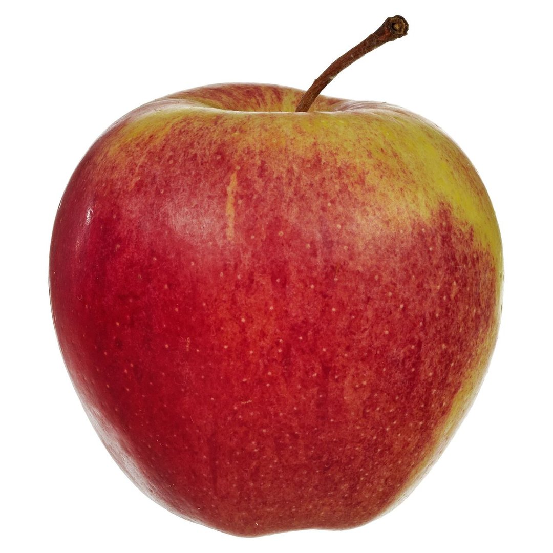METRO Chef - MC Äpfel Gala 10kg