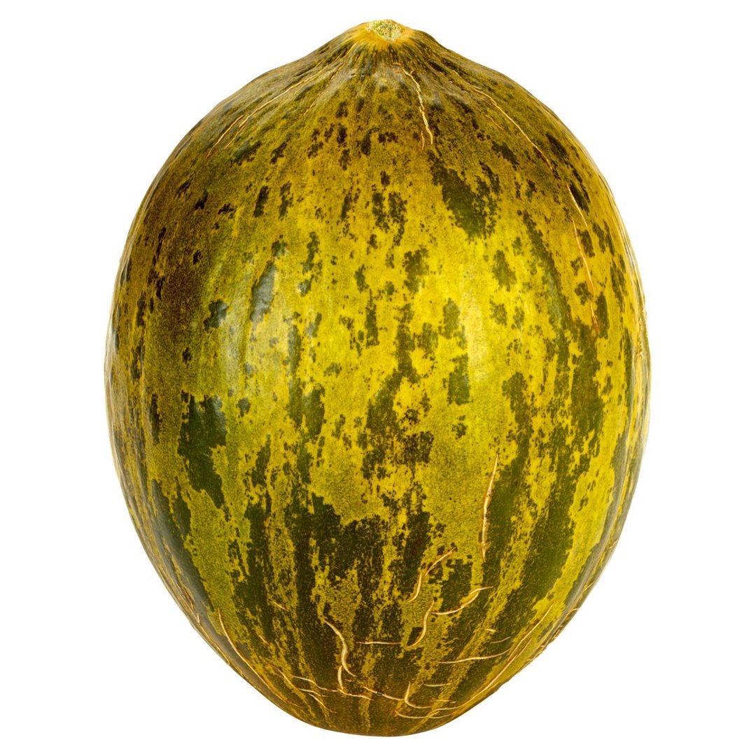 Melone Piel de Sapo Honduras - 5 Stück Karton