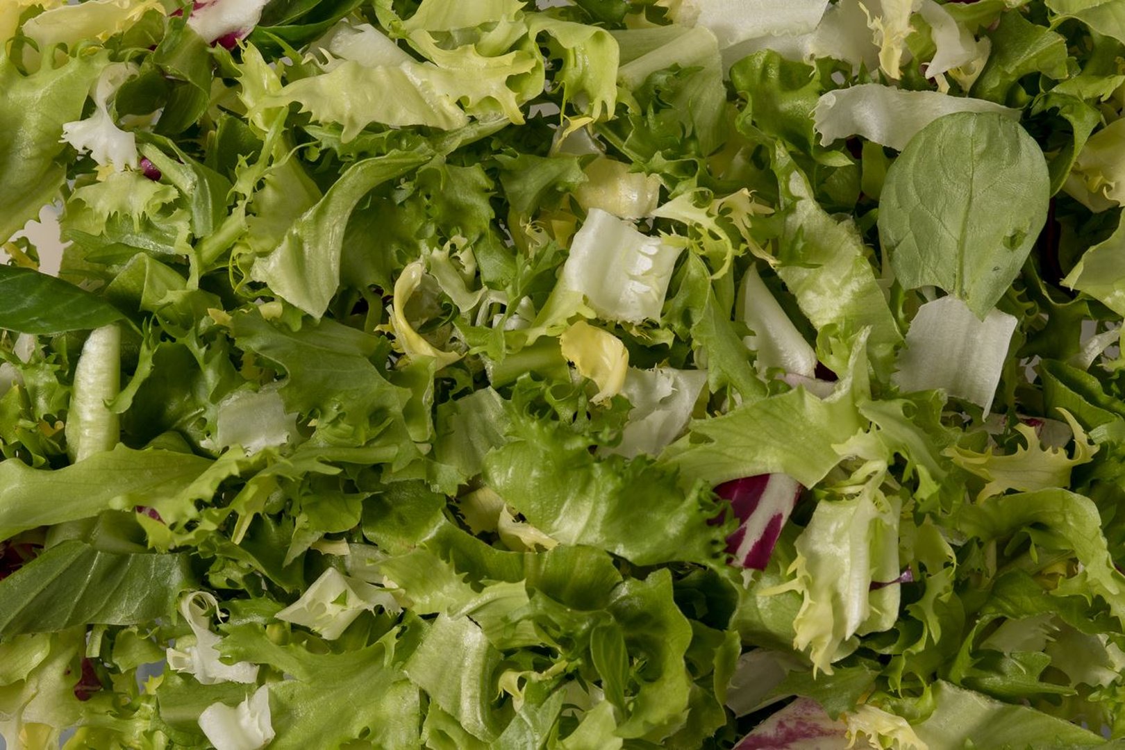Salatmischung Exquisit küchenfertig - 1 kg Beutel