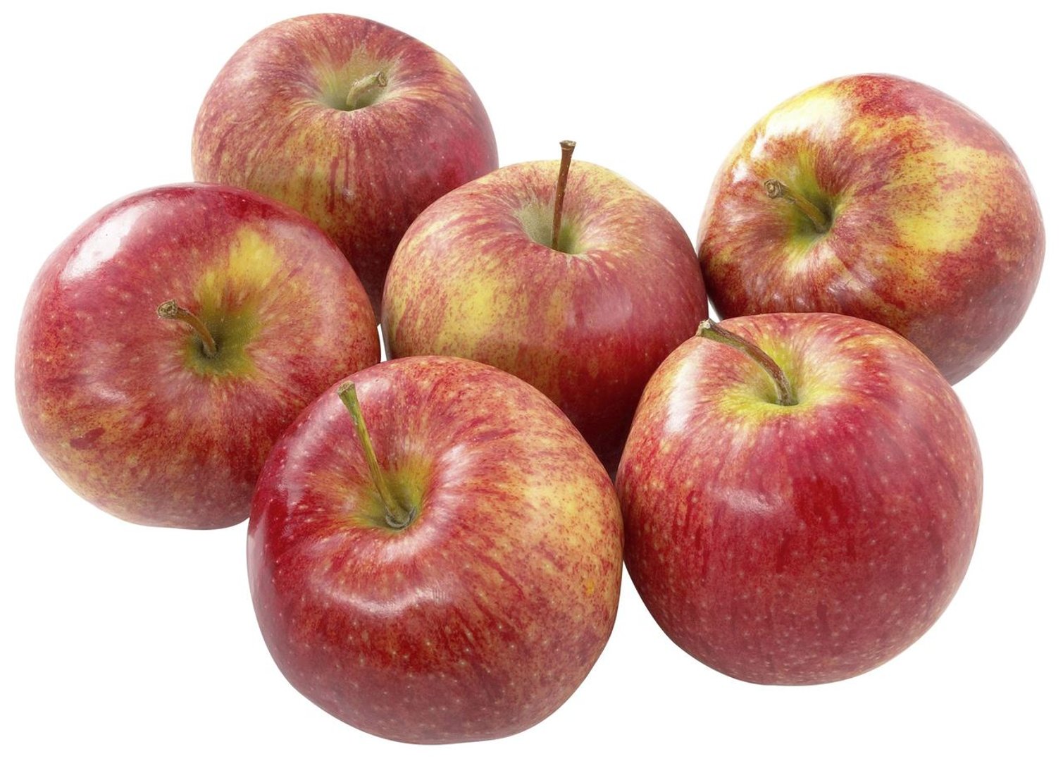 METRO Chef - Äpfel Elstar 10kg