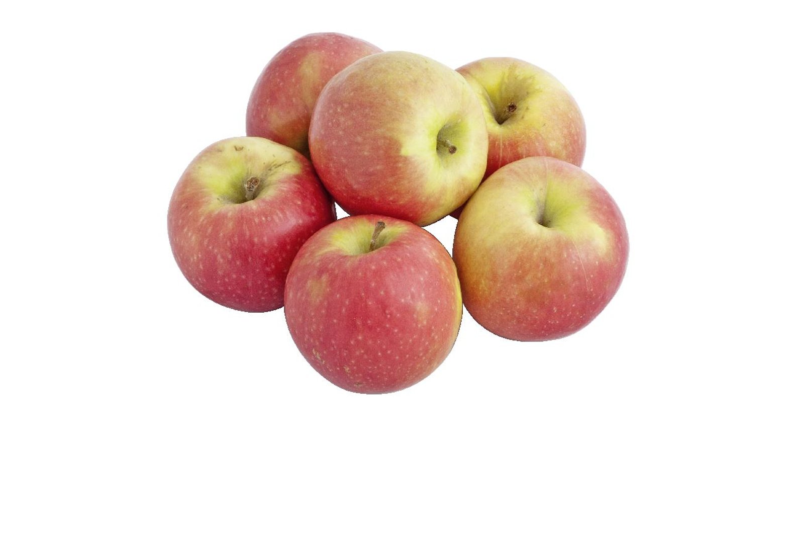 Äpfel Pink Lady Italien - 10 x 1 kg Schalen