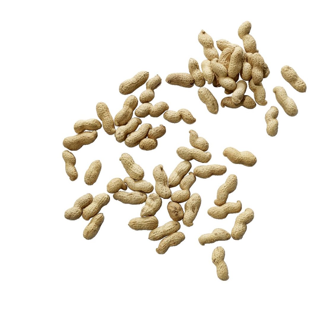 Erdnüsse Jumbo - Vereinigte Staaten - 2,5 kg Stück