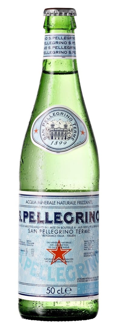 San Pellegrino - Mineralwasser Classic 20 x 0,5 l Flaschen