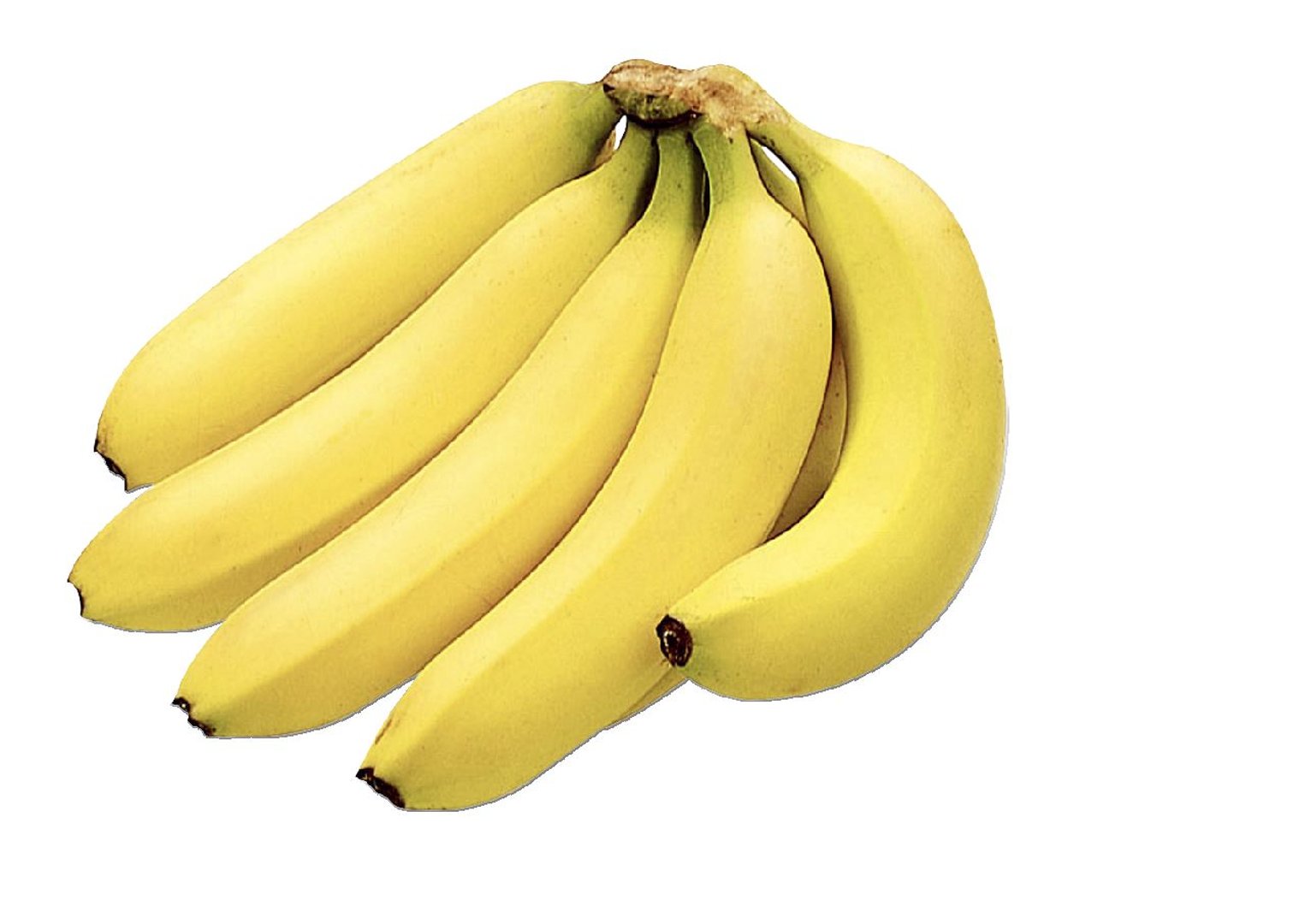Bananen lose - je kg