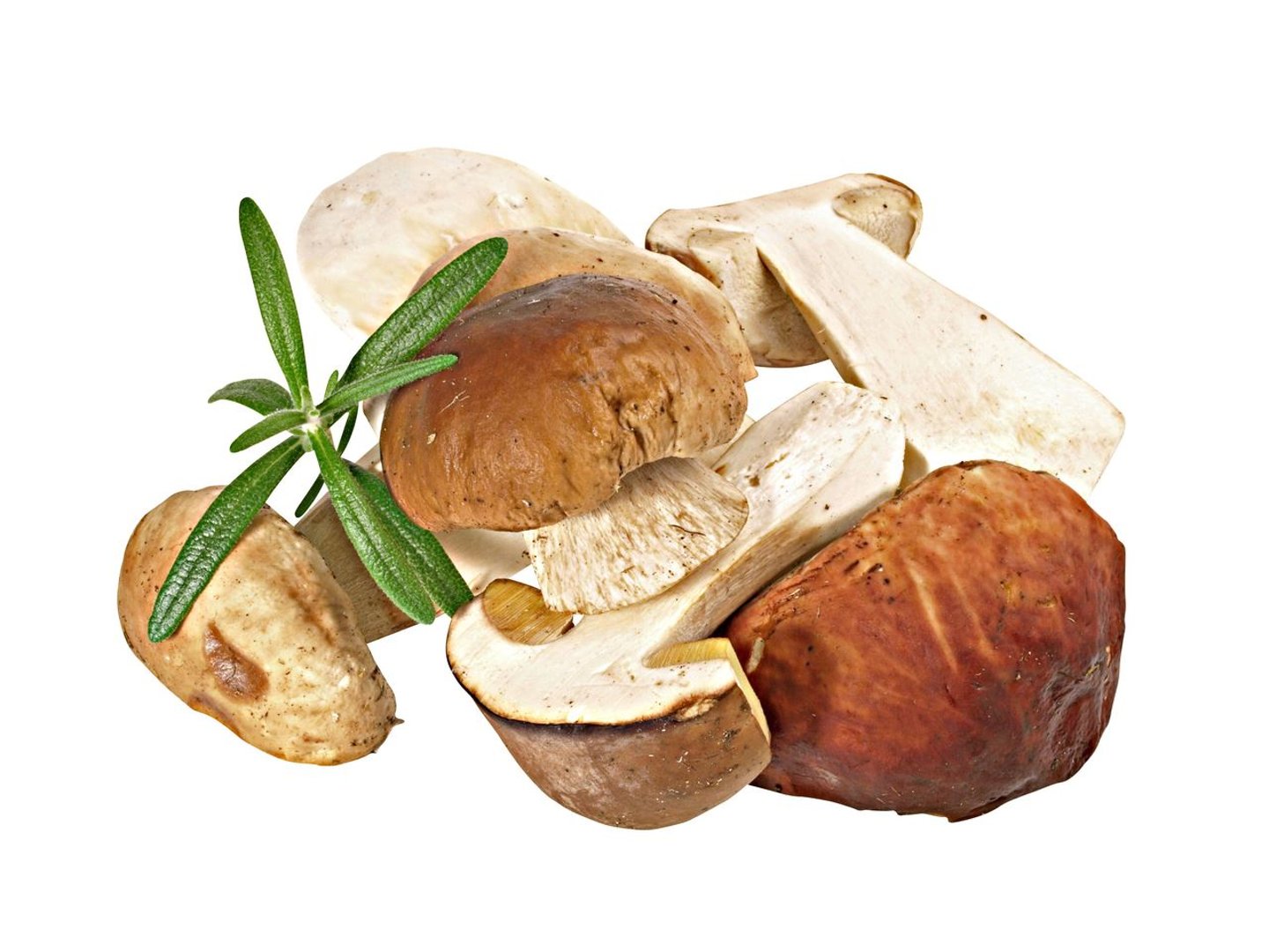 Golden Mushroom - Steinpilze tiefgefroren, geschnitten - 1 kg Beutel