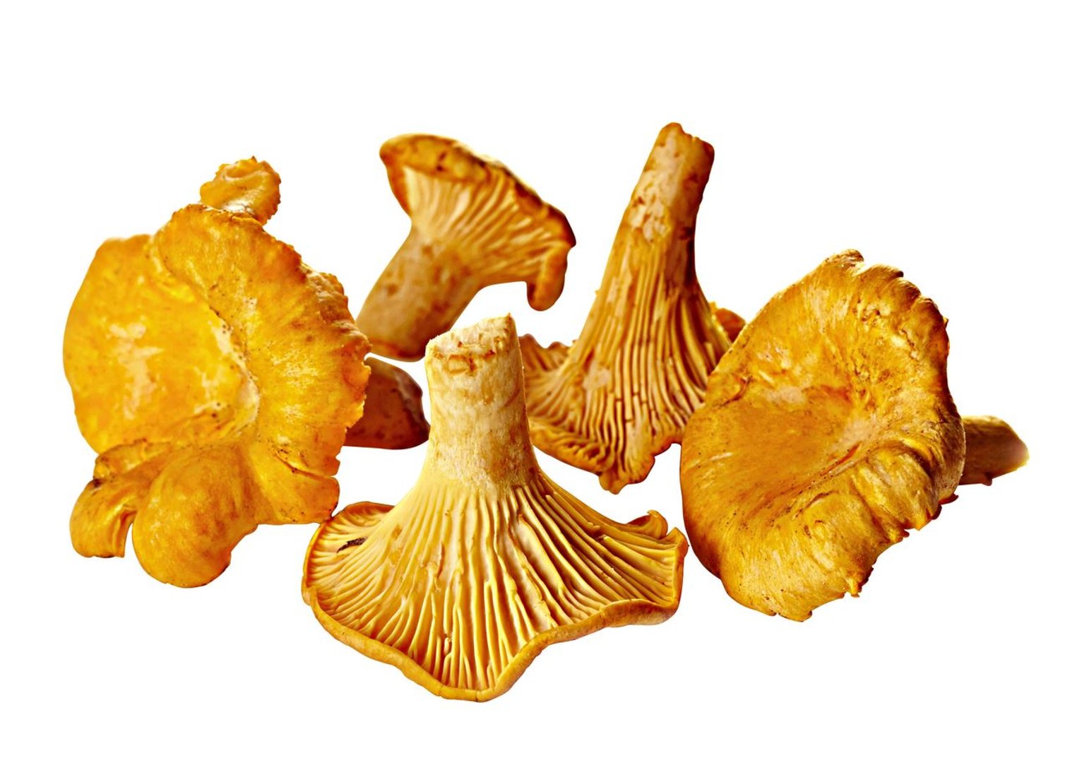 Golden Mushroom - Pfifferlinge bis 30 mm tiefgefroren - 1 kg Packung