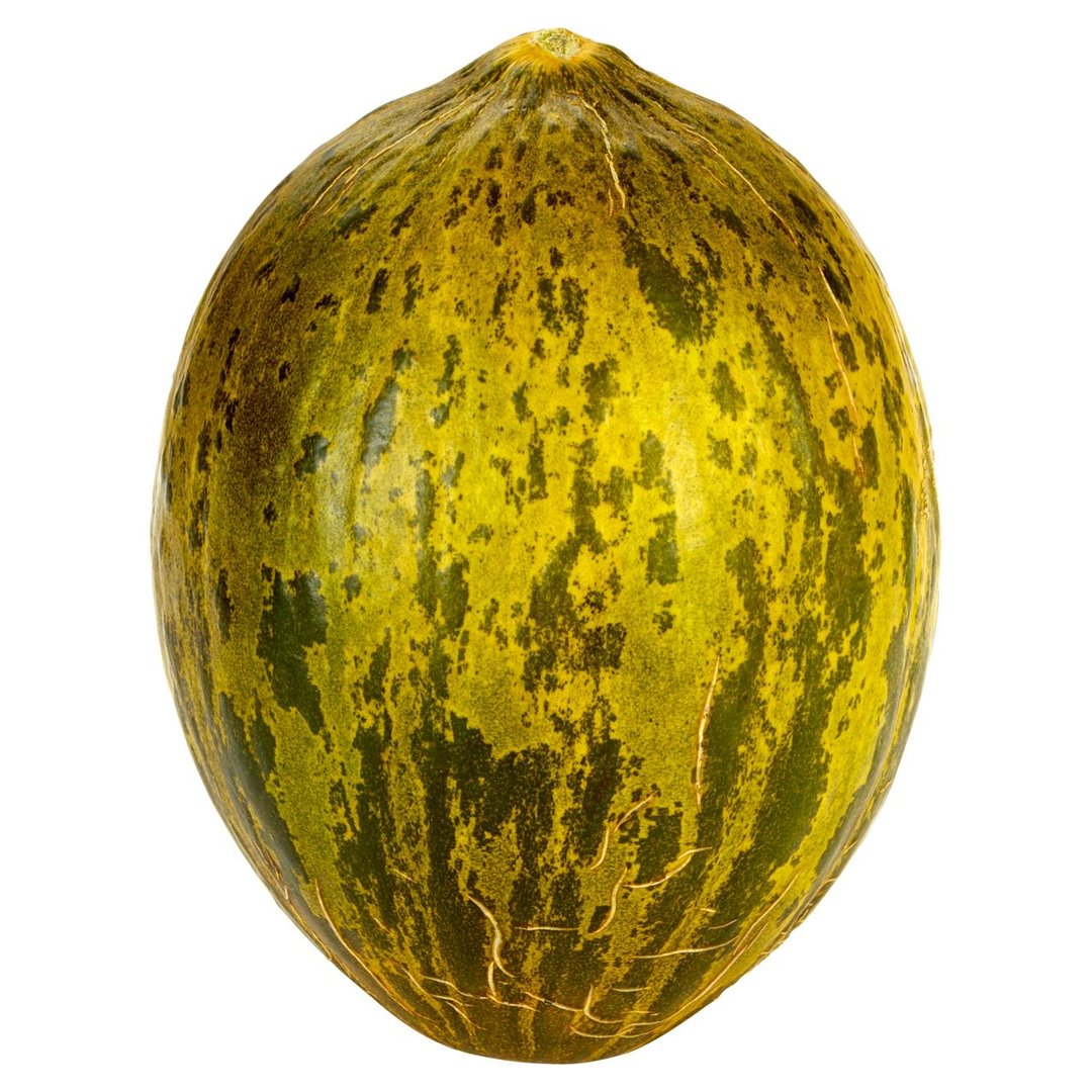 METRO Chef - Melone Piel de Sapo - Spanien - ca. 1,8 kg Stück