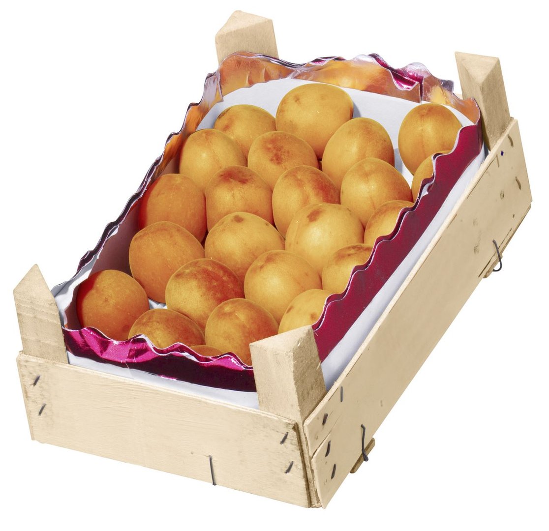 Aprikosen Griechenland - 10 x 1 kg Kiste